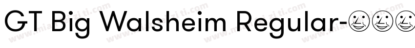 GT Big Walsheim Regular字体转换